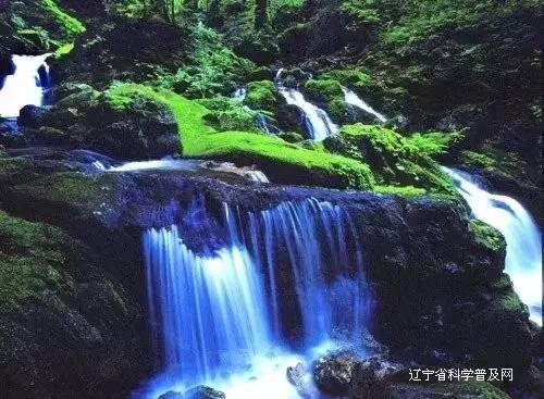 拯救胖男孩